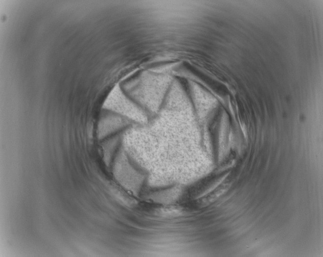 X0000066020668200603241536