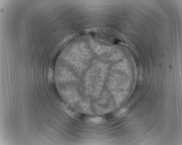 X0000066020669200603241536