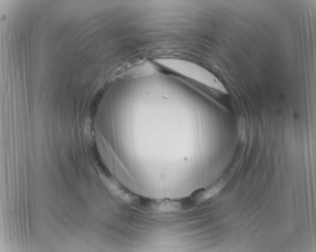 X0000066020670200603241536