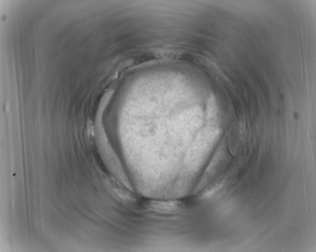 X0000066020671200603241536