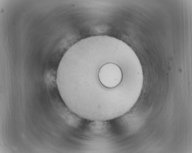 X0000066020672200603241537