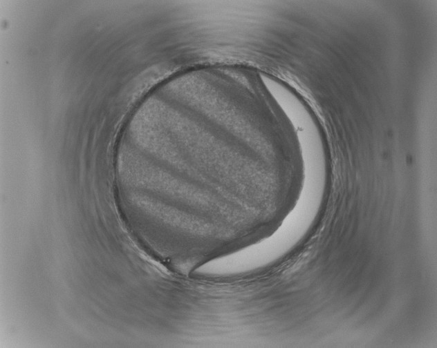 X0000066020673200603241536