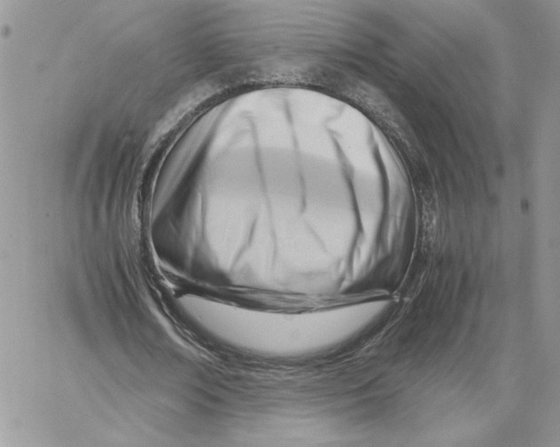 X0000066020674200603241536