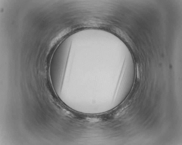 X0000066020675200603241536