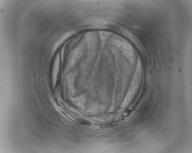 X0000066020677200603241536