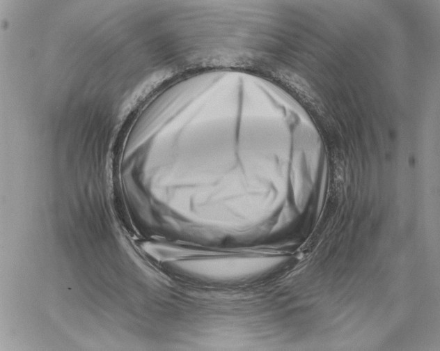 X0000066020678200603241536