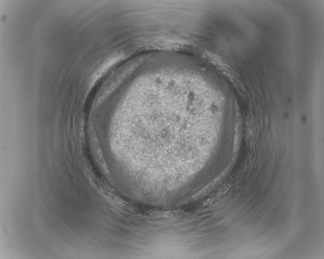 X0000066020679200603241536