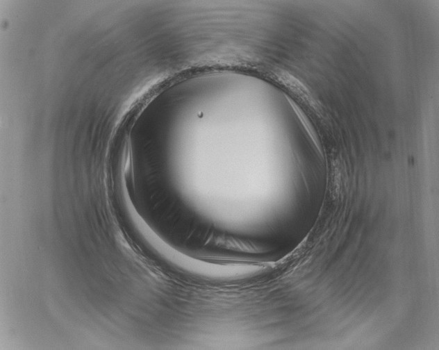 X0000066020680200603241536