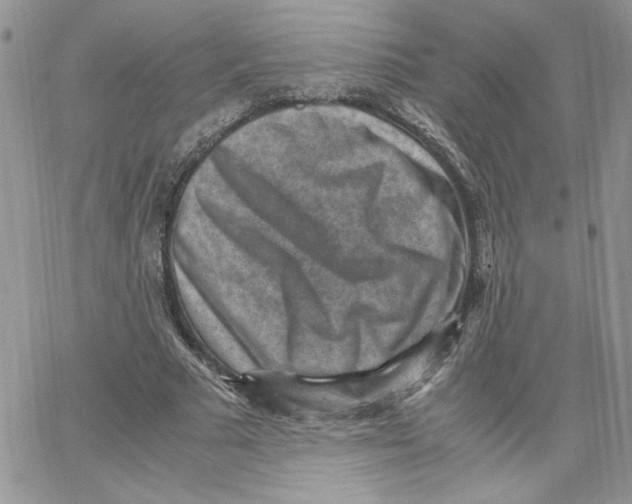 X0000066020681200603241536