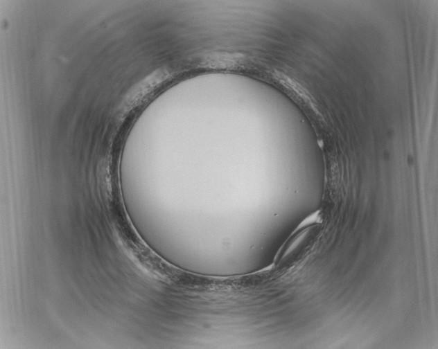 X0000066020682200603241536