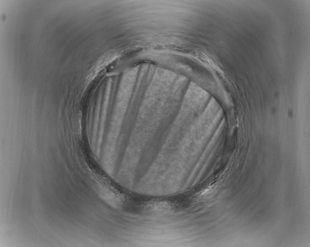 X0000066020685200603241536