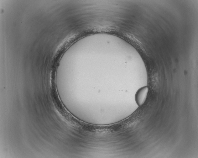 X0000066020686200603241536