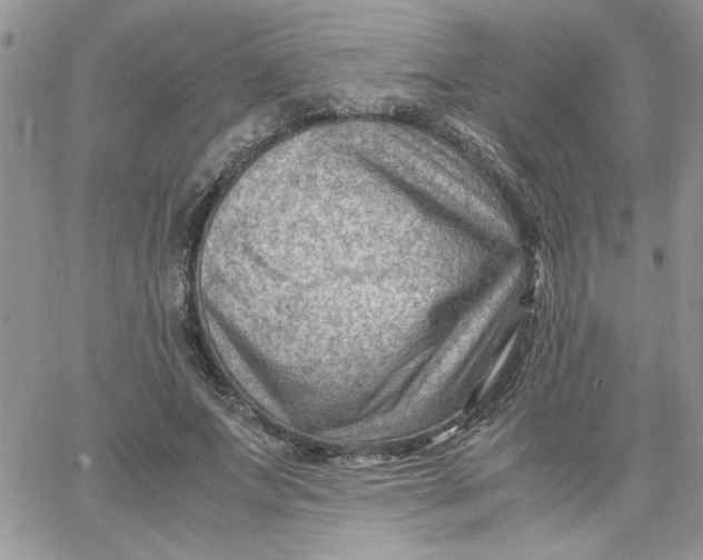 X0000066020687200603241536