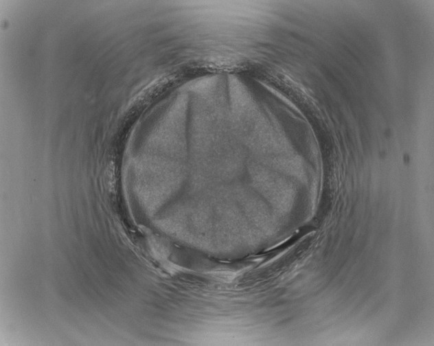 X0000066020689200603241535