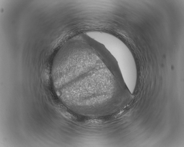 X0000066020691200603241535