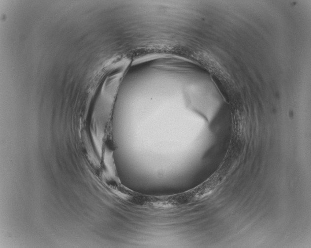 X0000066020692200603241535