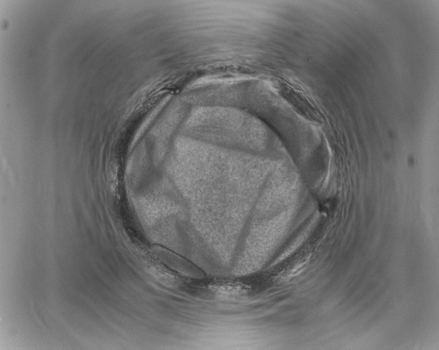 X0000066020693200603241535