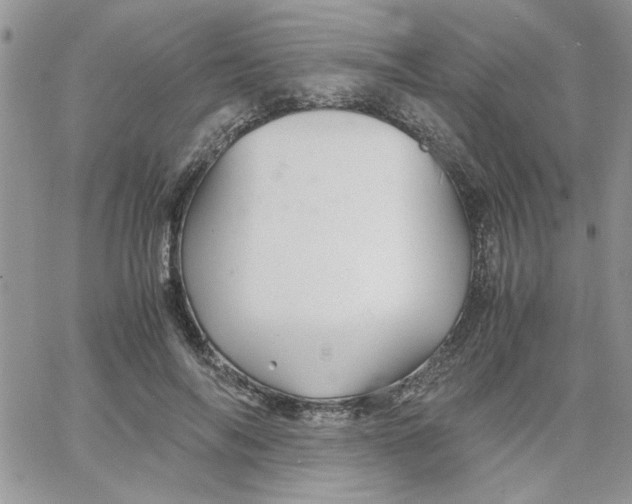 X0000066020694200603241535