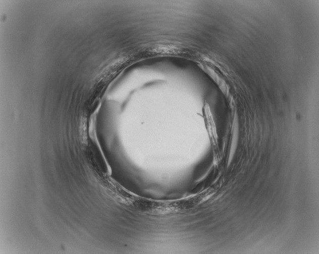 X0000066020696200603241535