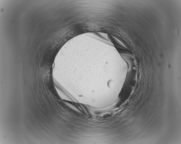 X0000066020697200603241535