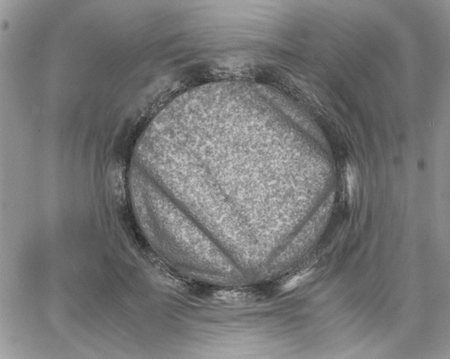 X0000066020699200603241535