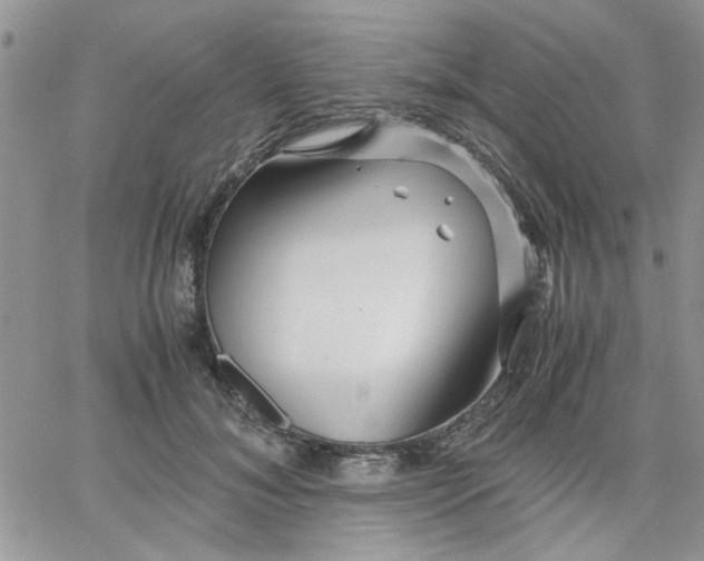 X0000066020700200603241535