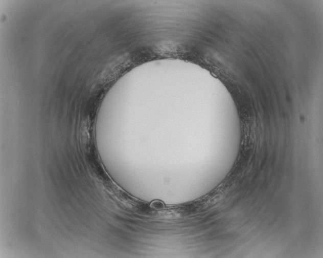 X0000066020702200603241535