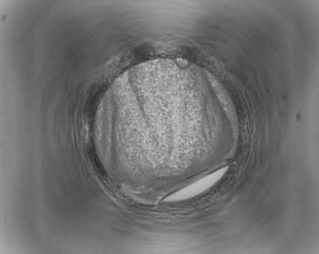 X0000066020703200603241535