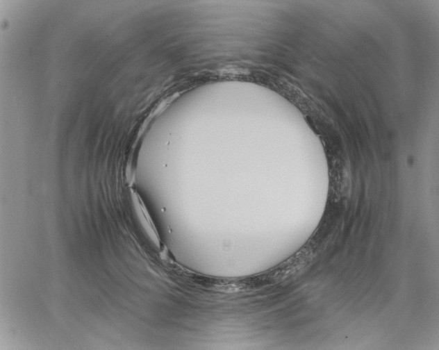 X0000066020704200603241535