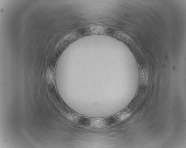 X0000066020705200603241535