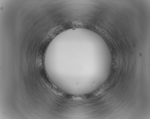 X0000066020706200603241535