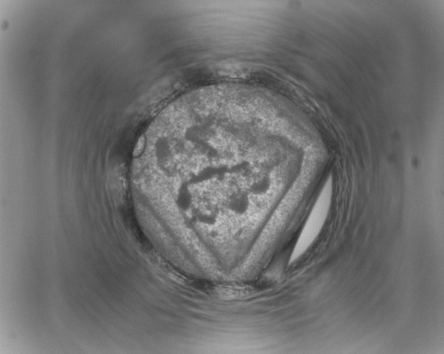 X0000066020707200603241535