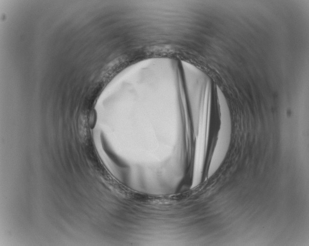 X0000066020708200603241535