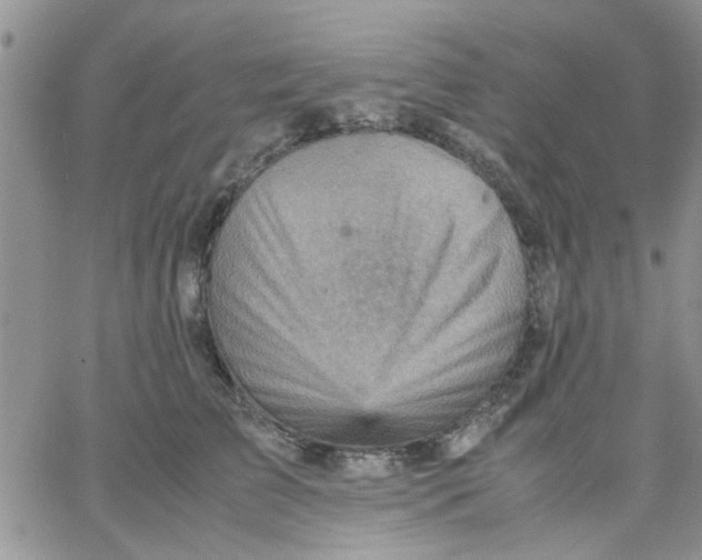 X0000066020709200603241535