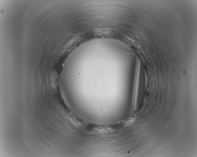 X0000066020712200603241535