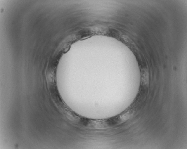 X0000066020713200603241535