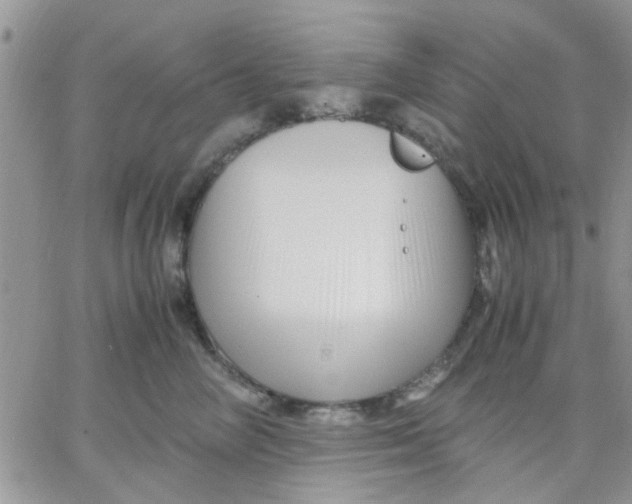 X0000066020714200603241535