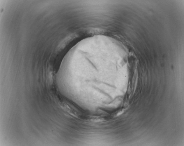 X0000066020716200603241535