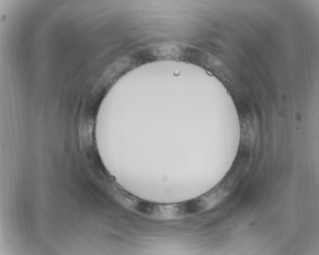 X0000066020717200603241535