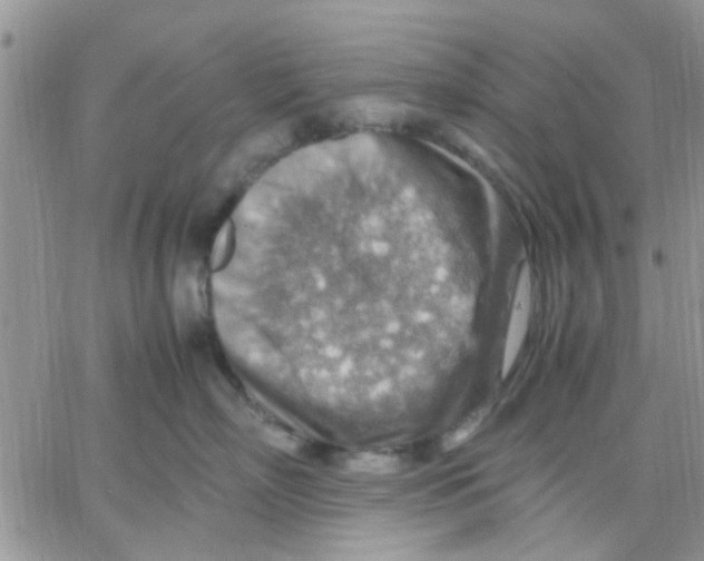 X0000066020718200603241535