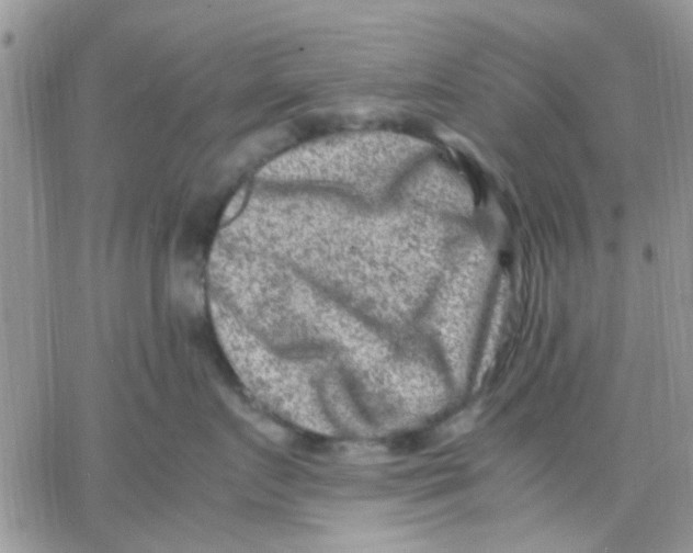 X0000066020719200603241535