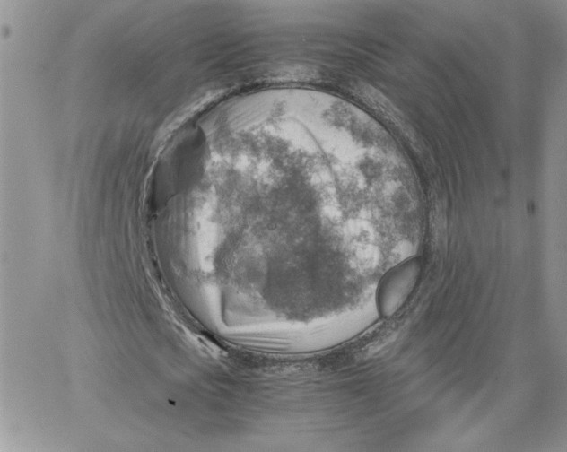 X0000066020721200603241534