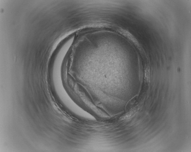 X0000066020724200603241534