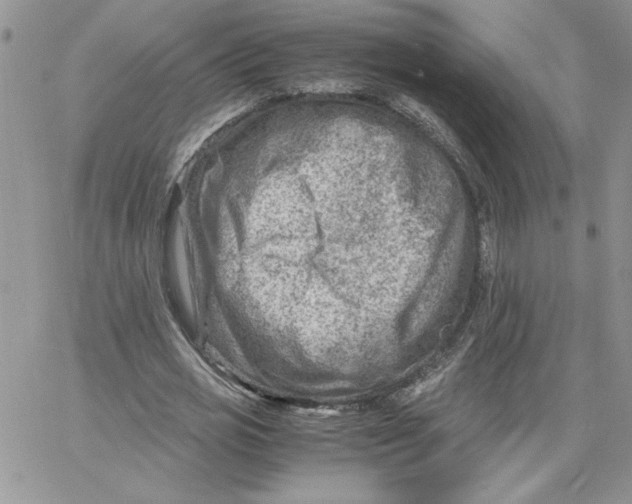 X0000066020725200603241534