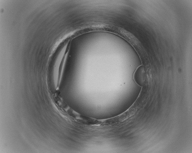 X0000066020728200603241534