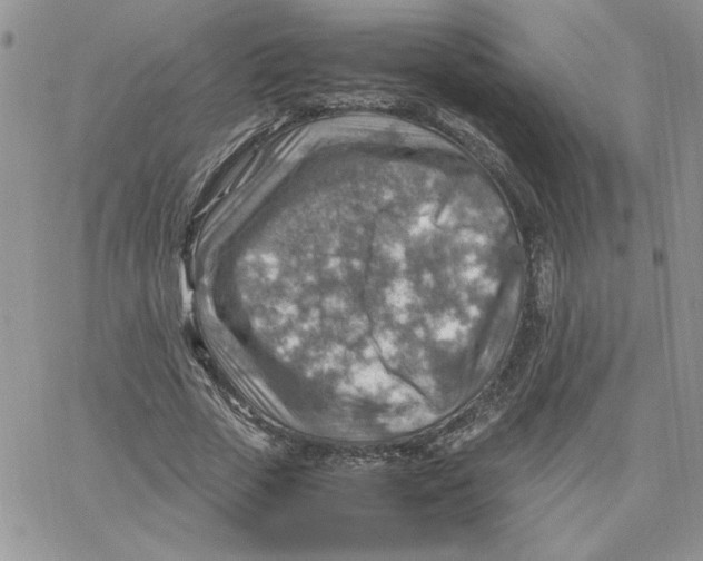 X0000066020729200603241534