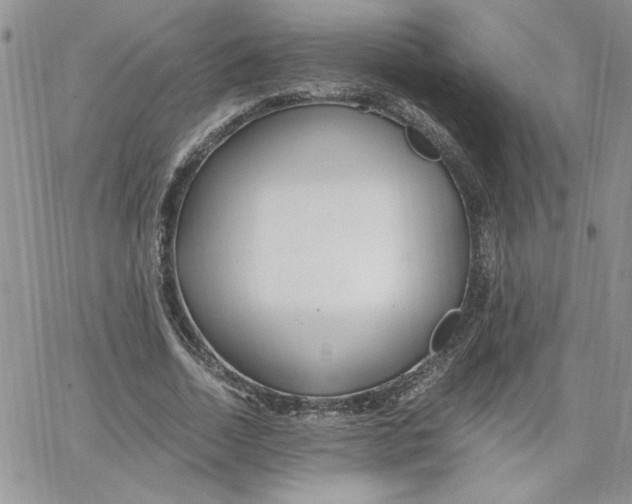 X0000066020730200603241534