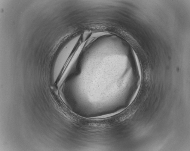 X0000066020733200603241534