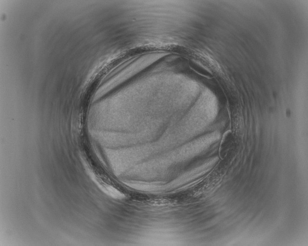 X0000066020736200603241534