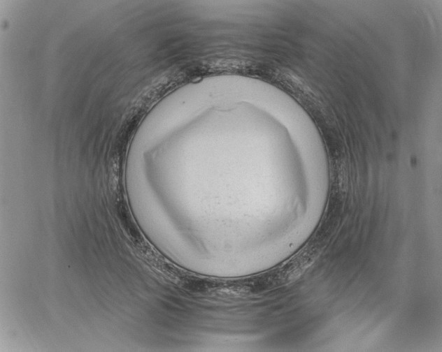 X0000066020737200603241534